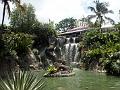 21a - Jardin Tropical 026